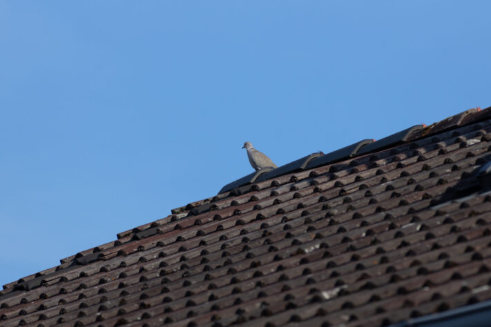 TTartisan 500mm f/6.3 Test: Was taugt das G&uuml;nstige Supertele f&uuml;r die Mondfotografie? 26