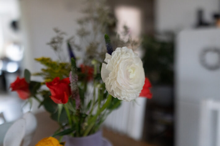 Canon RF 35mm f/1.4L VCM Test 77
