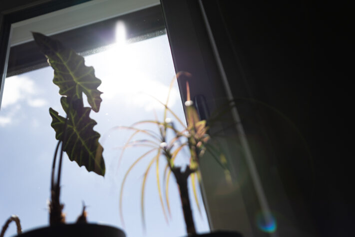 Canon RF 35mm f/1.4L VCM Test 94