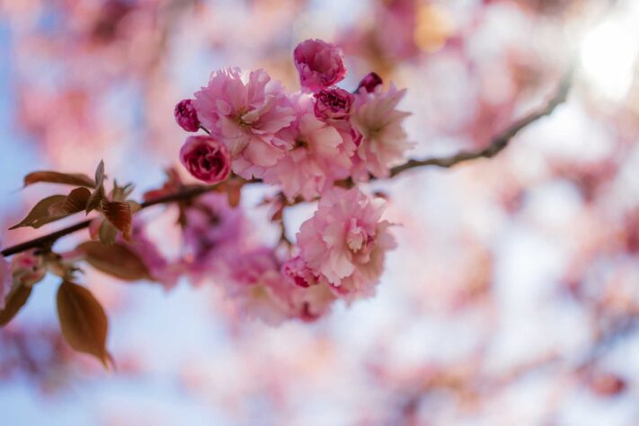 Canon RF 35mm f/1.4L VCM Test 108