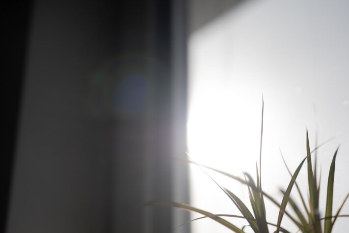 Vistilen 85mm 1.8 Pro Test 122