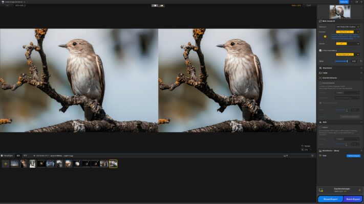 Aiarty Image Enhancer im Test: Wie gut ist der KI-Upscaler in der Praxis? 5