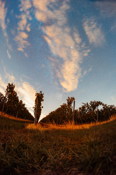 Brightin Star 7,5mm 2.8 IV Fisheye Test - G&uuml;nstiges, lichtstarkes Fischaugen Objektiv f&uuml;r APS-C 40