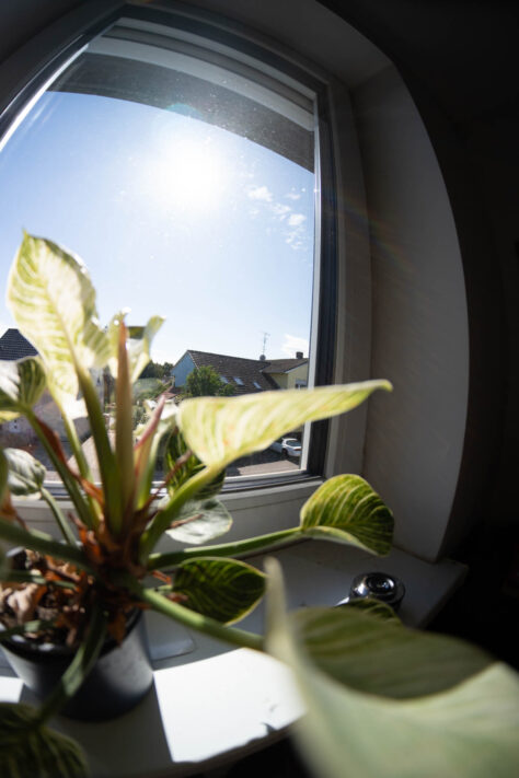 Brightin Star 7,5mm 2.8 IV Fisheye Test - G&uuml;nstiges, lichtstarkes Fischaugen Objektiv f&uuml;r APS-C 48