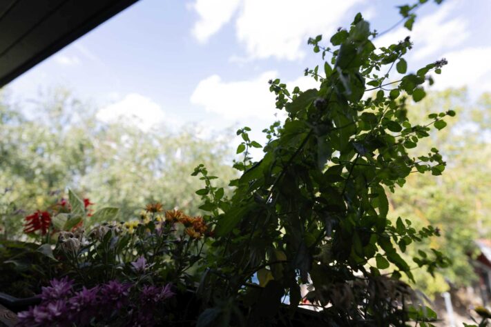 Canon RF 14mm f/1.4L VCM Test - bestes Astro Objektiv derzeit? 37