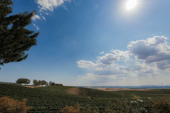 Canon RF 14mm f/1.4L VCM Test - bestes Astro Objektiv derzeit? 31