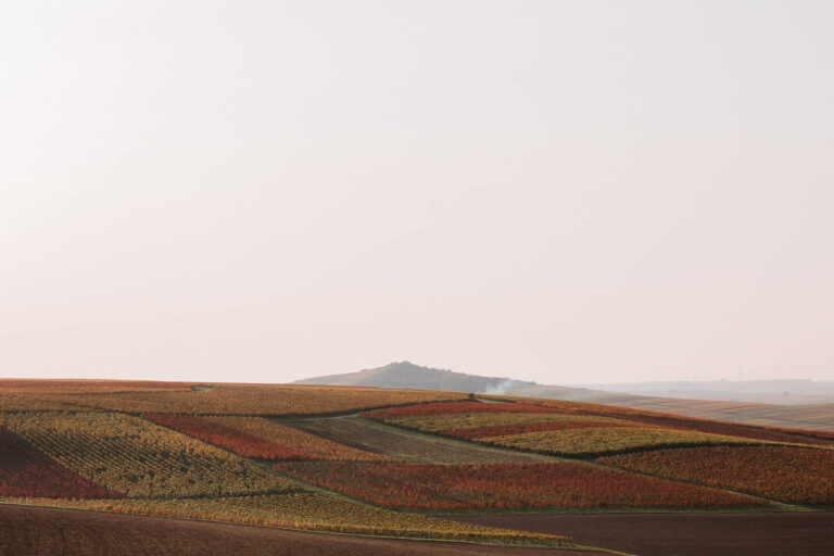 Herbst fotografieren: 10 Ideen für stimmungsvolle Herbstfotos