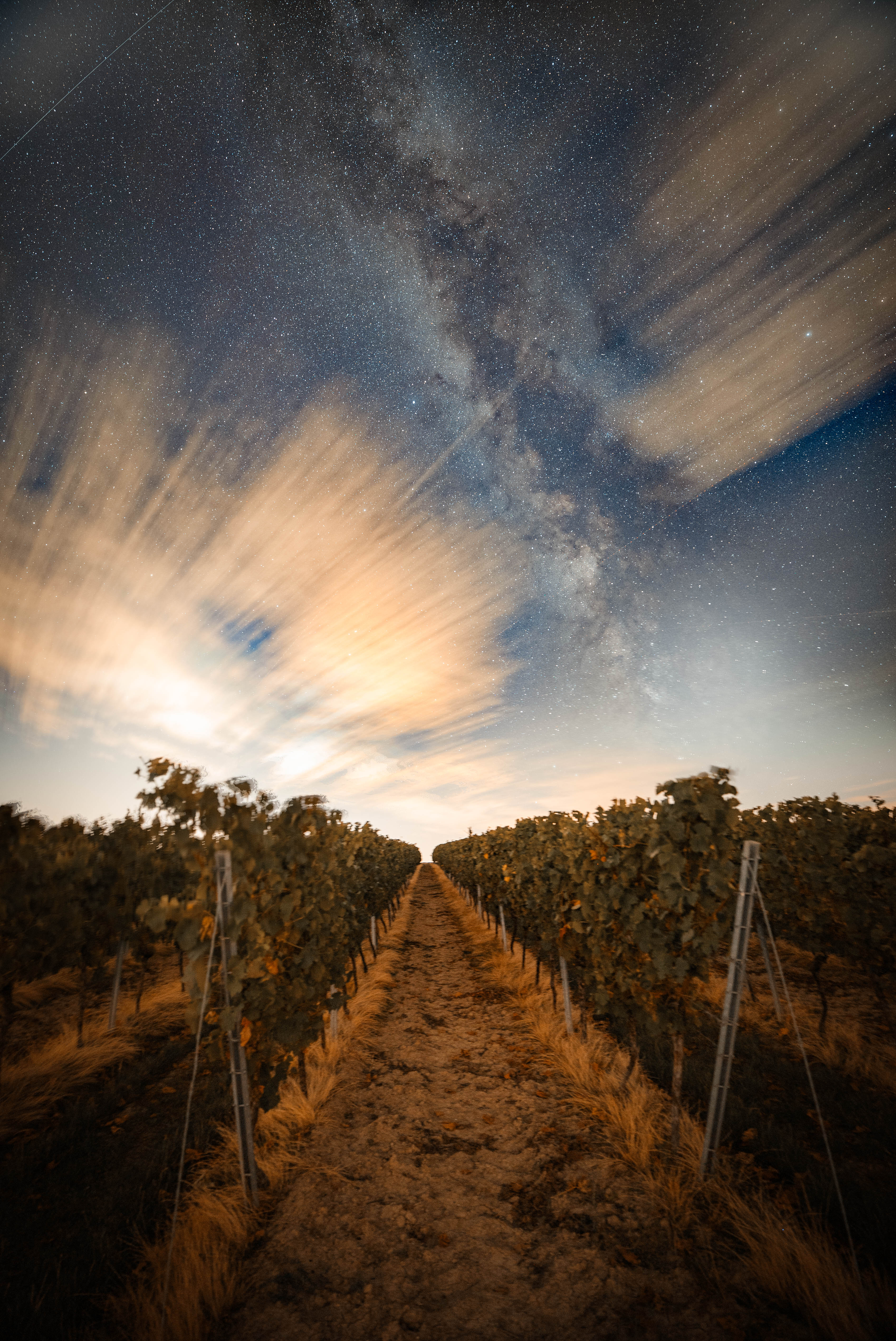 Milchstraße fotografiert mit dem Canon RF 14 mm f/1.4L VCM in Rheinhessen