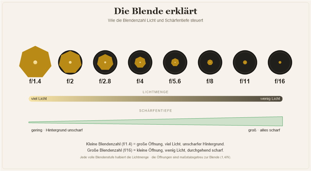 Fotografieren lernen - Grundlagen der Fotografie für Anfänger 9