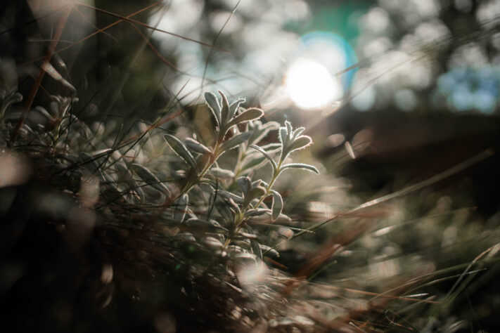 7Artisans 18mm 2.0 Test - Lichtstarkes APS-C Pancake 23
