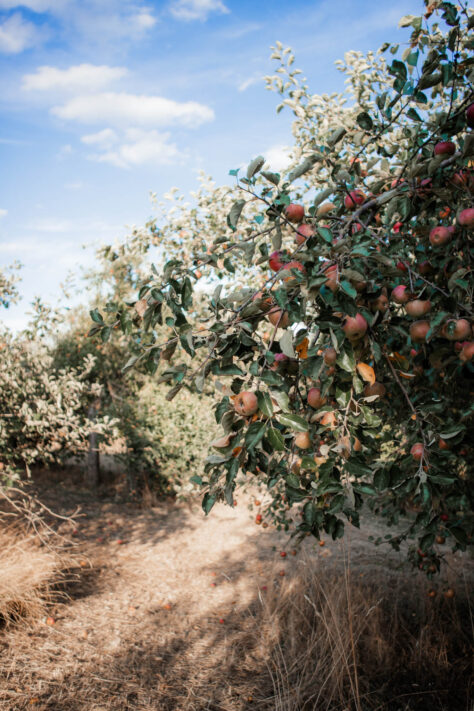 7Artisans 18mm 2.0 Test - Lichtstarkes APS-C Pancake 27