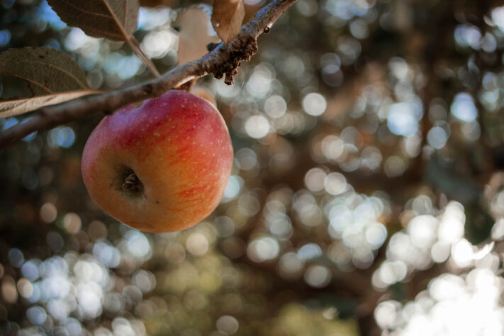 7Artisans 18mm 2.0 Test - Lichtstarkes APS-C Pancake 77
