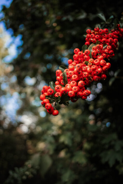 7Artisans 18mm 2.0 Test - Lichtstarkes APS-C Pancake 80