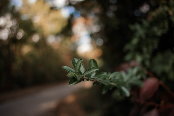 7Artisans 18mm 2.0 Test - Lichtstarkes APS-C Pancake 82