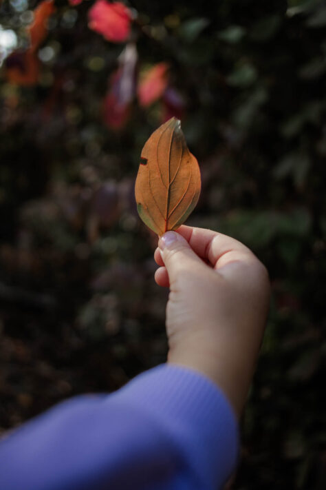 7Artisans 18mm 2.0 Test - Lichtstarkes APS-C Pancake 42