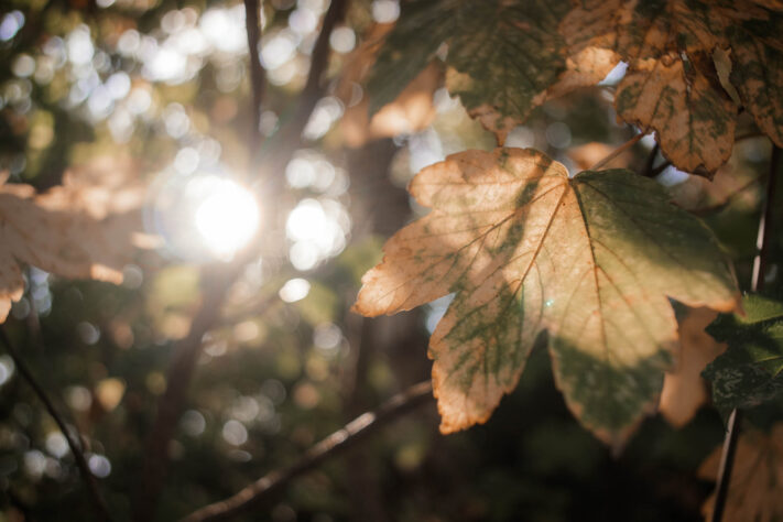 7Artisans 18mm 2.0 Test - Lichtstarkes APS-C Pancake 69