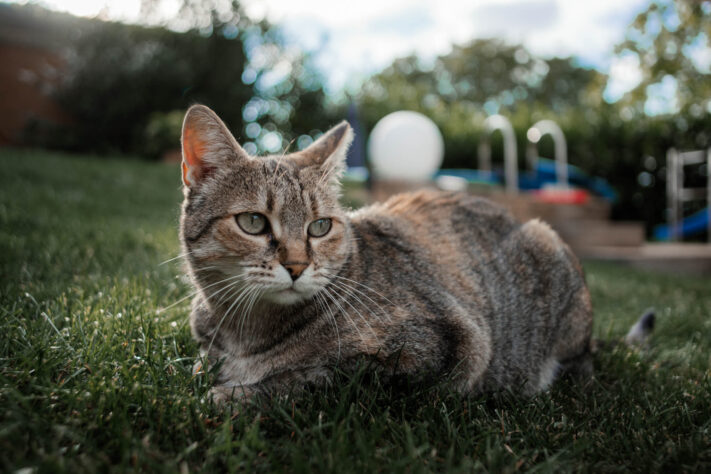 7Artisans 18mm 2.0 Test - Lichtstarkes APS-C Pancake 5