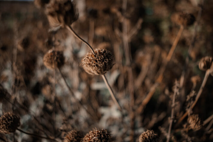 7Artisans 18mm 2.0 Test - Lichtstarkes APS-C Pancake 86