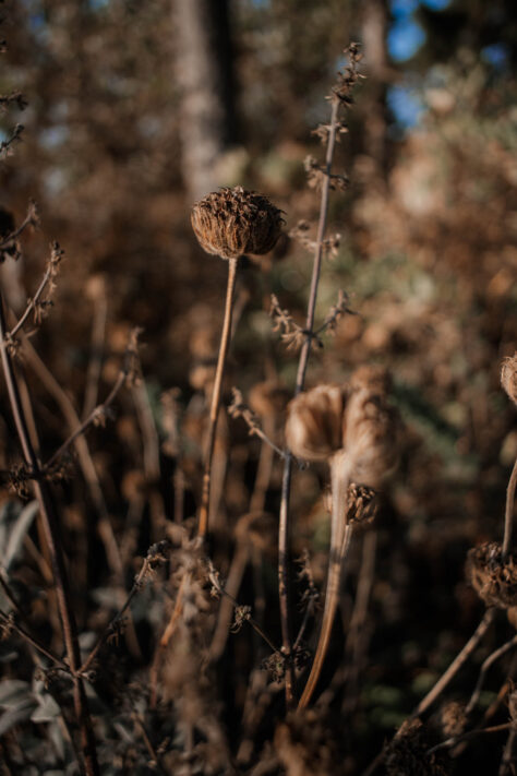 7Artisans 18mm 2.0 Test - Lichtstarkes APS-C Pancake 87