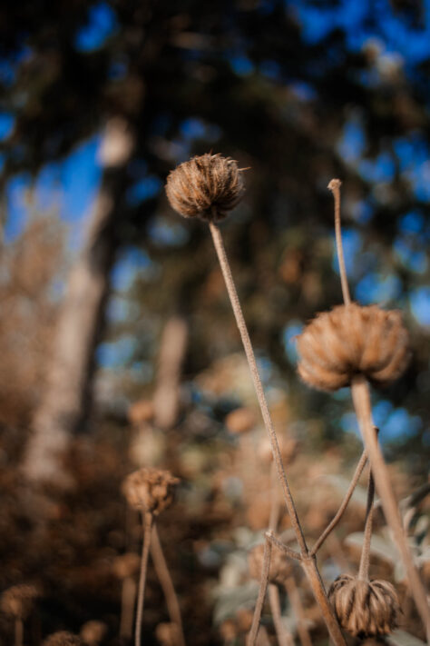 7Artisans 18mm 2.0 Test - Lichtstarkes APS-C Pancake 89