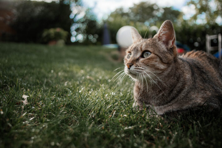 7Artisans 18mm 2.0 Test - Lichtstarkes APS-C Pancake 6