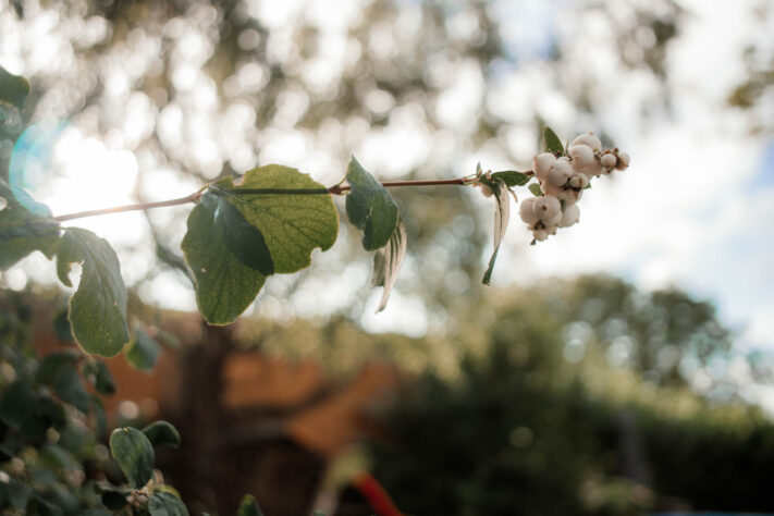 7Artisans 18mm 2.0 Test - Lichtstarkes APS-C Pancake 22