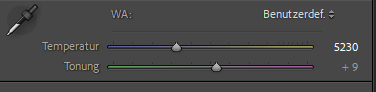 Weißabgleich verstehen: Farbtemperatur, Presets und manuell einstellen 1